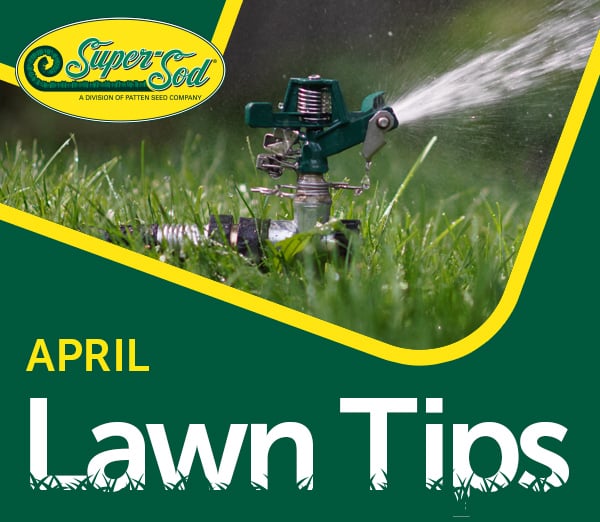 April Lawn Tips Header