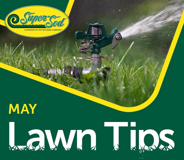 May lawn tips header